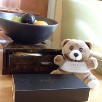 Welcomeフルーツとチョコとコンラッドベアが待ってます