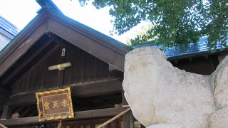 目立たないけど、隣の公園は様変わりしても