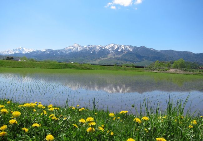 薫風そよぐ春の田園風景に