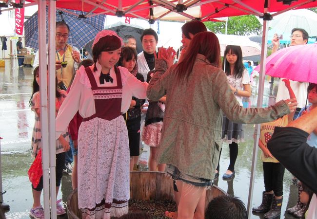 ふらのワインぶどう祭りinまちなか クチコミ アクセス 営業時間 富良野 フォートラベル