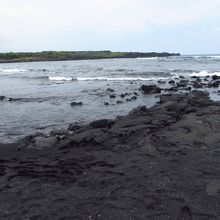 運がよければ海がめに合えるかも