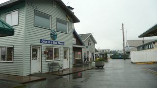 ワンス イン ア ブルー ムース (スワード店)