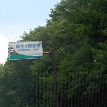 緑がとても綺麗でした