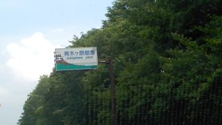 森林浴が出来ました