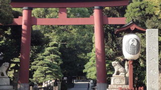 落ち着ける場所