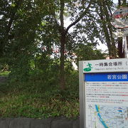 江戸時代の武家屋敷跡に造られた公園です