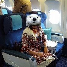 ビジネスクラスのシート。近距離用の古い機材でした