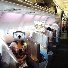 帰りは長距離用の一世代前の機材。フルフラットになります