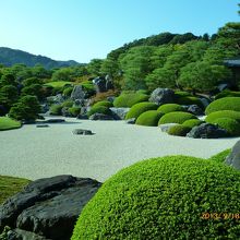 館内の窓越しに見る枯山水の日本庭園