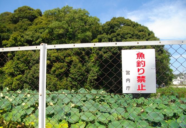 駅からすぐです