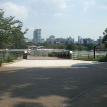 公園の端　不忍池