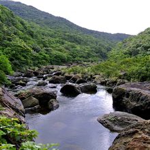 上流船着場から更に上流側を臨む