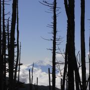 富士山を眺めながら登れる　金峰山