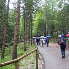 シャトルバスのバス停から橋へ向かう坂道