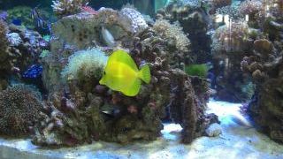 びっくり度がいまいち