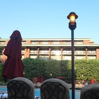 プールは子供用含めて4つ。空いていました。