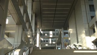 フジテレビ７階です!!