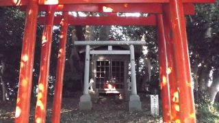 台と谷戸の森にある・・トトロの趣も・・