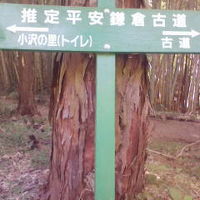 たっぷり食べて、推定平安鎌倉古道で箱根に戻ります。