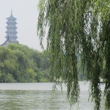 鑑真和尚の大明寺の塔がみえます。