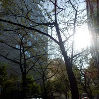 五反田駅からホテルまでの道