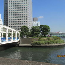 樹の当たりにあったと言う設定です。