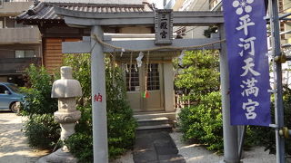 思った以上に見ごたえがありました