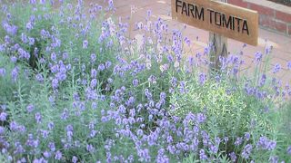 大自然は素晴らしい！