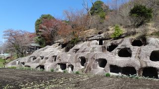 栃木県指定史跡の一つです