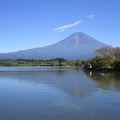 富士五湖には入ってませんがとても綺麗な湖です