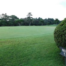 富士(山)に向かってショット・・・(富士山は？)