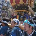 百舌鳥八幡宮秋祭り 月見祭