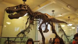 アメリカ自然史博物館