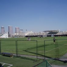 芝生がヒロ〜イ