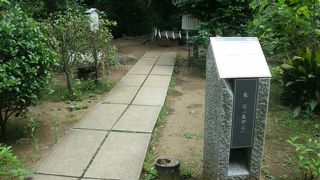 関心あればですが・・亀の石ですって