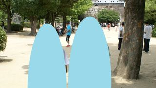 外堀、内堀と登城する楽しみ。天守閣からの眺めも素晴らしい。