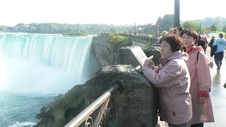 かぶりつきで見られる人気スポット