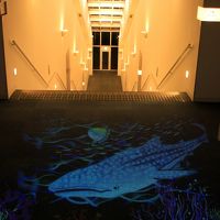 客室の床に投影されていて素敵でした〜