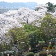 四季折々の花を楽しめる植物園