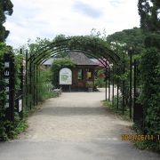 四季の花々が楽しめる庭園