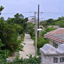 こういう目線もあり、塔の上からの景色とは違う味がある