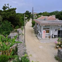 塔の上からだとこうは見えない。これはこれで良い景色だと思う。