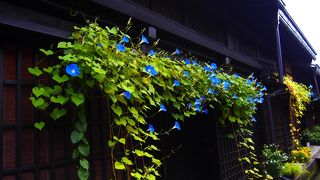 高山といえばここ！