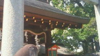 足腰の健康保持に