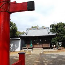 境内、桜の頃は人出