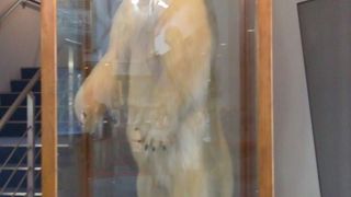 行って良かった！