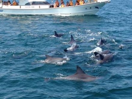 下田温泉　民宿　ふくまつ 写真