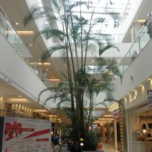 解放感ある店内