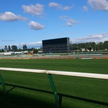札幌競馬場