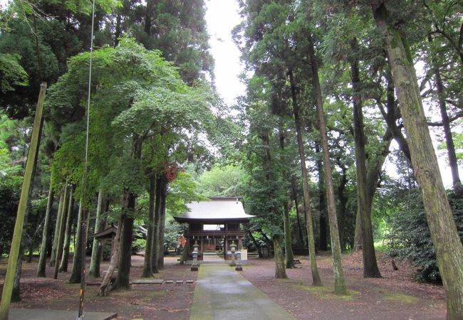 鳥居の石　おっかなびっくり